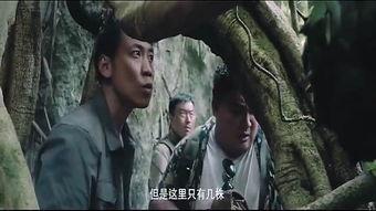 国产免费的野战视频,揭秘真实战场上的英勇瞬间